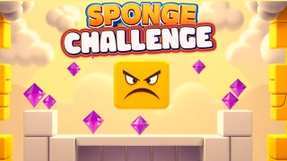PLay Sponge Challenge now!